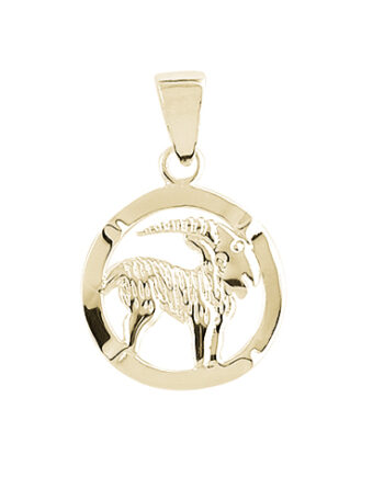 Aagaard Stjernetegn Stenbukken Guld 0881120