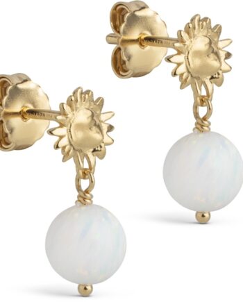 Enamel Daystar Globe øreringe E416g