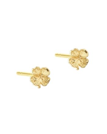 Clover  Golden