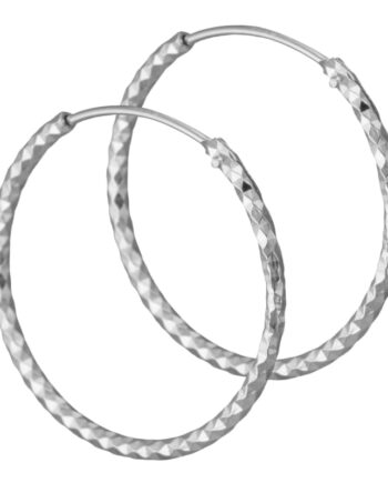 Dina Hoops  Silver