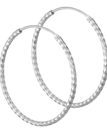 Donna Hoops  Silver