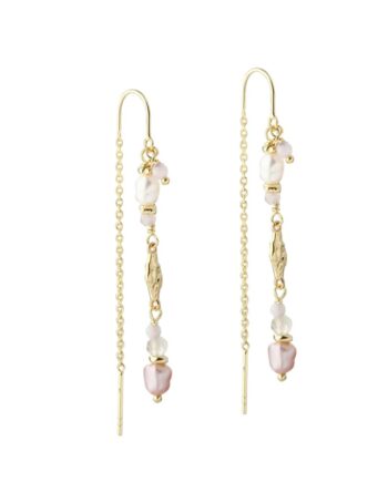Fresa Rose Earthread  Golden