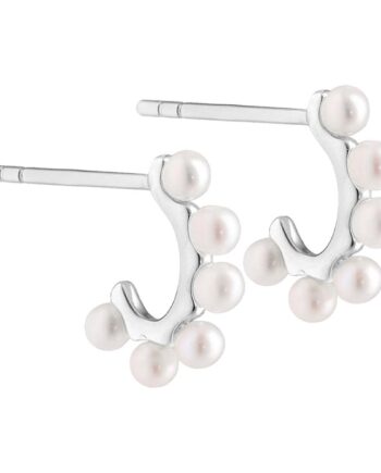 Patricia Hoops  Silver