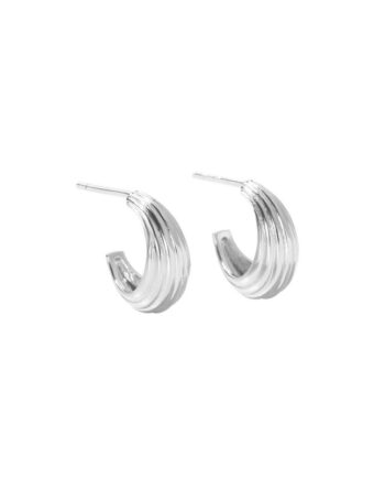 Sue Hoop  Silver