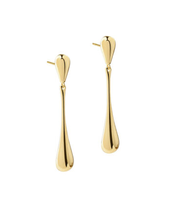 Shiny New Drop Earring  Golden