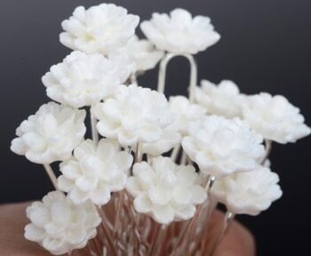 Hårnåle Med Små Hvide Blomster Stk