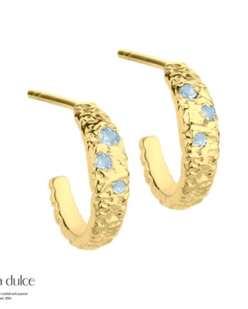 Mess Hoop Blue  Golden